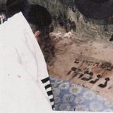 "המדבר לשון הרע מתגלגל בדבורה שכל הזמן מזמזמת" - פרשת תזריע מצורע מהרב אליעזר ברלנד שליט"א