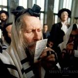 התקשורת מפרסמת - "מכתב נדיר נחשף – "השול של הרב ברלנד""