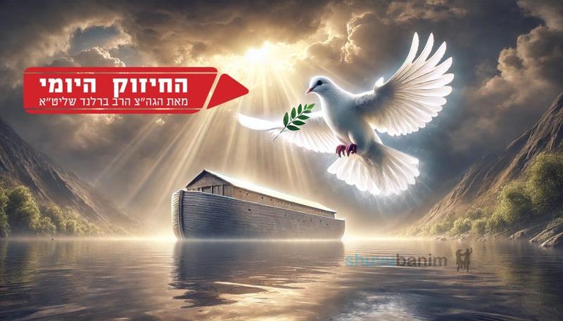 היונה של נח והקשר העמוק למלך המשיח על פי הזוהר