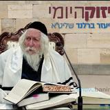 כשאדם לומד תורה הוא מתחבר לאור שבעת הימים - החיזוק היומי מהגה"צ הרב אליעזר ברלנד שליט"א