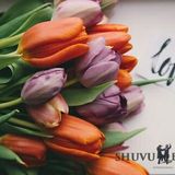 "כבוד האישה" - דברי הגה"צ הרב אליעזר ברלנד שליט"א