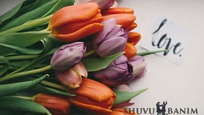 "כבוד האישה" - דברי הגה"צ הרב אליעזר ברלנד שליט"א