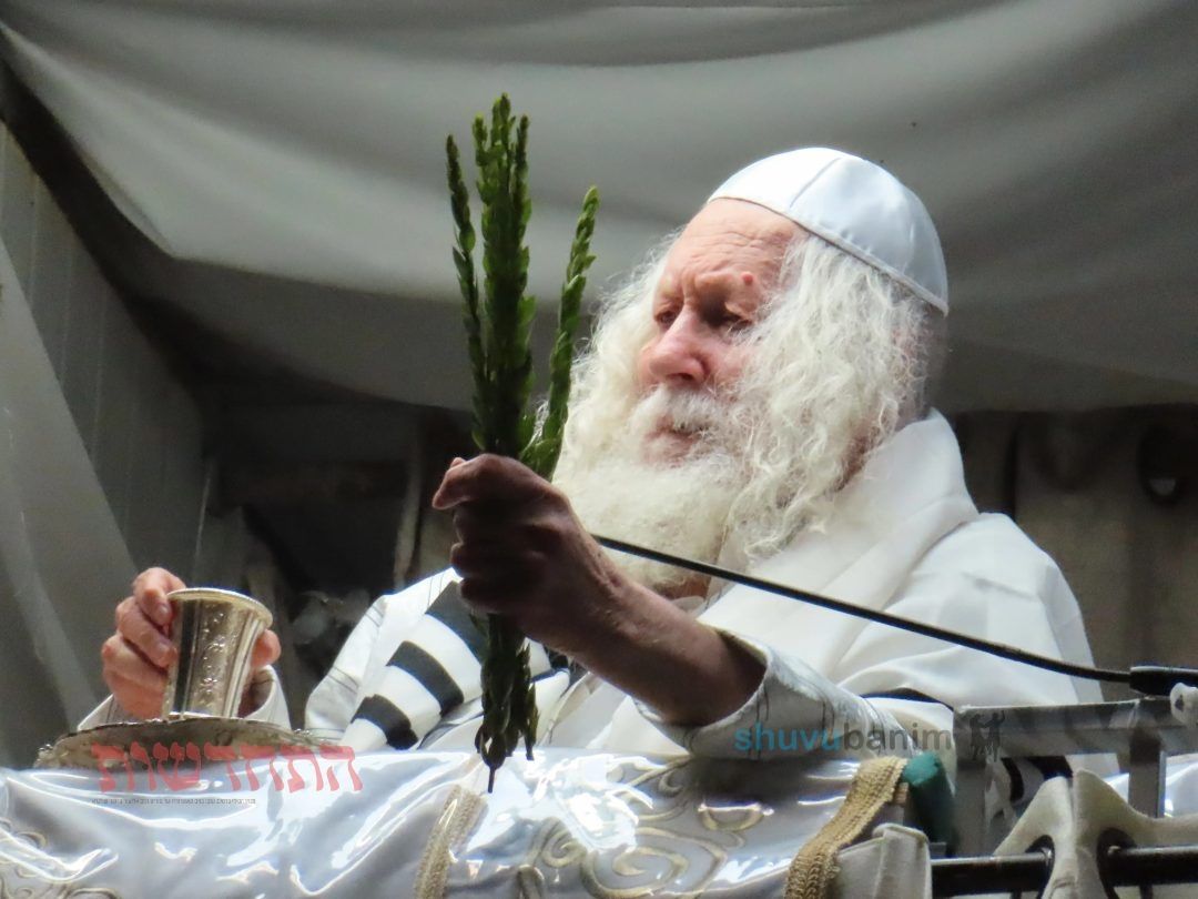 "כִּי בָרֵךְ אֲבָרֶכְךָ" • סיקור שבת פרשת וירא בצילו של הגה"צ רבי אליעזר ברלנד שליט"א