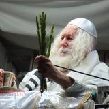 "כִּי בָרֵךְ אֲבָרֶכְךָ" • סיקור שבת פרשת וירא בצילו של הגה"צ רבי אליעזר ברלנד שליט"א