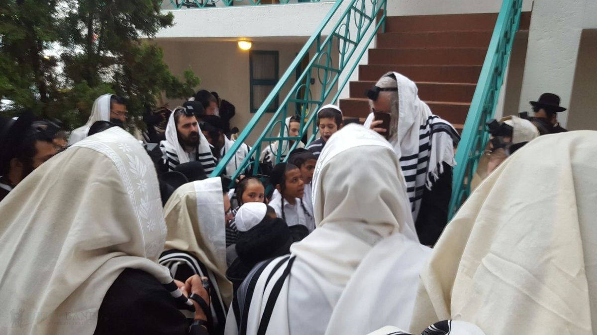 שחרית היום עם מורנו הרב שליט"א