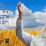 הַיּוֹם תִּשְׁעָה וְעֶשְׂרִים יוֹם לָעֹמֶר • נוסח ספירת העומר ותפילה מהגה"צ רבי אליעזר ברלנד שליט"א לחסד שבהוד