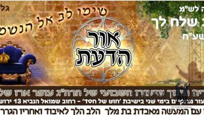 אור הדעת לרב עופר ארז מתלמידי הגה"צ הרב אליעזר ברלנד שליט"א - שלח לך - עלון 130