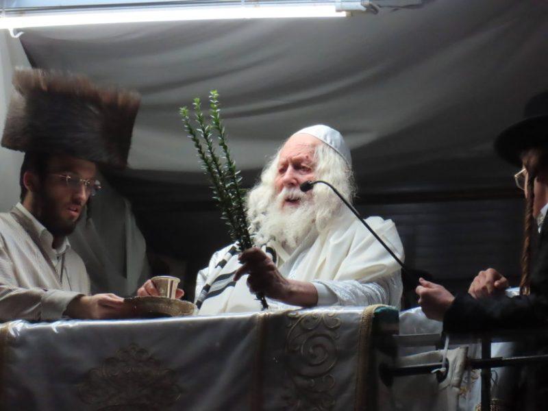 בְּרֵאשִׁית בָּרָא אֱלוֹקִים • שבת בראשית בצילו של הגה"צ רבי אליעזר ברלנד שליט"א