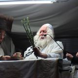 בְּרֵאשִׁית בָּרָא אֱלוֹקִים • שבת בראשית בצילו של הגה"צ רבי אליעזר ברלנד שליט"א