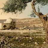 בעקבות הניתוח הקשה אותו צפוי לעבור היום הגה"צ הרב אליעזר ברלנד שליט"א תיערך היום עצרת תפילה וזעקה בקבר רחל