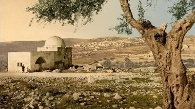 בעקבות הניתוח הקשה אותו צפוי לעבור היום הגה"צ הרב אליעזר ברלנד שליט"א תיערך היום עצרת תפילה וזעקה בקבר רחל