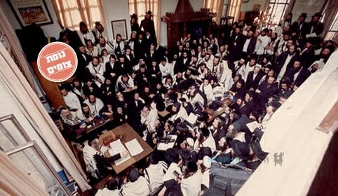 "אדם צדיק גדול אז צריך להרוג אותו?" - הגה"צ הרב אליעזר ברלנד שליט"א