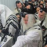 נדיר: מראות הקודש מתפילת השחרית האחרונה של תשע"ח עם הגה"צ הרב אליעזר ברלנד שליט"א