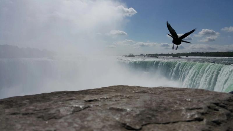 "מְאֹד מְאֹד הֱוֵי שְׁפַל רוּחַ, שֶׁתִּקְוַת אֱנוֹשׁ רִמָּה" פרשת השבוע 'בראשית'