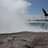 "מְאֹד מְאֹד הֱוֵי שְׁפַל רוּחַ, שֶׁתִּקְוַת אֱנוֹשׁ רִמָּה" פרשת השבוע 'בראשית' - מפי הגה"צ הרב אליעזר ברלנד שליט"א