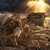 Parashat Vayerá - El secreto de la Akedat Yitzjak y la mitigación de los juicios