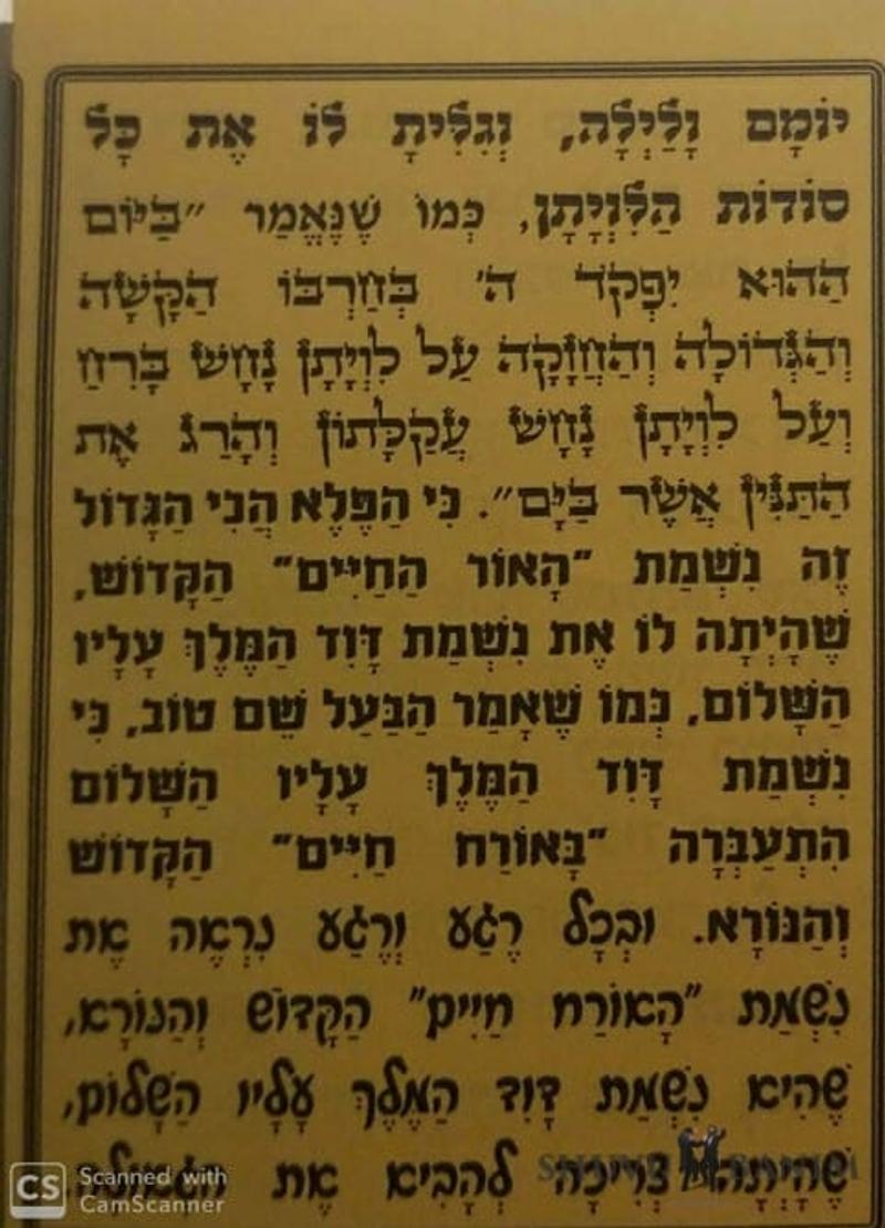 האדמו"ר מסלונים מזהיר: "מי שיש לו חלק בזה ודאי לא ינקה"