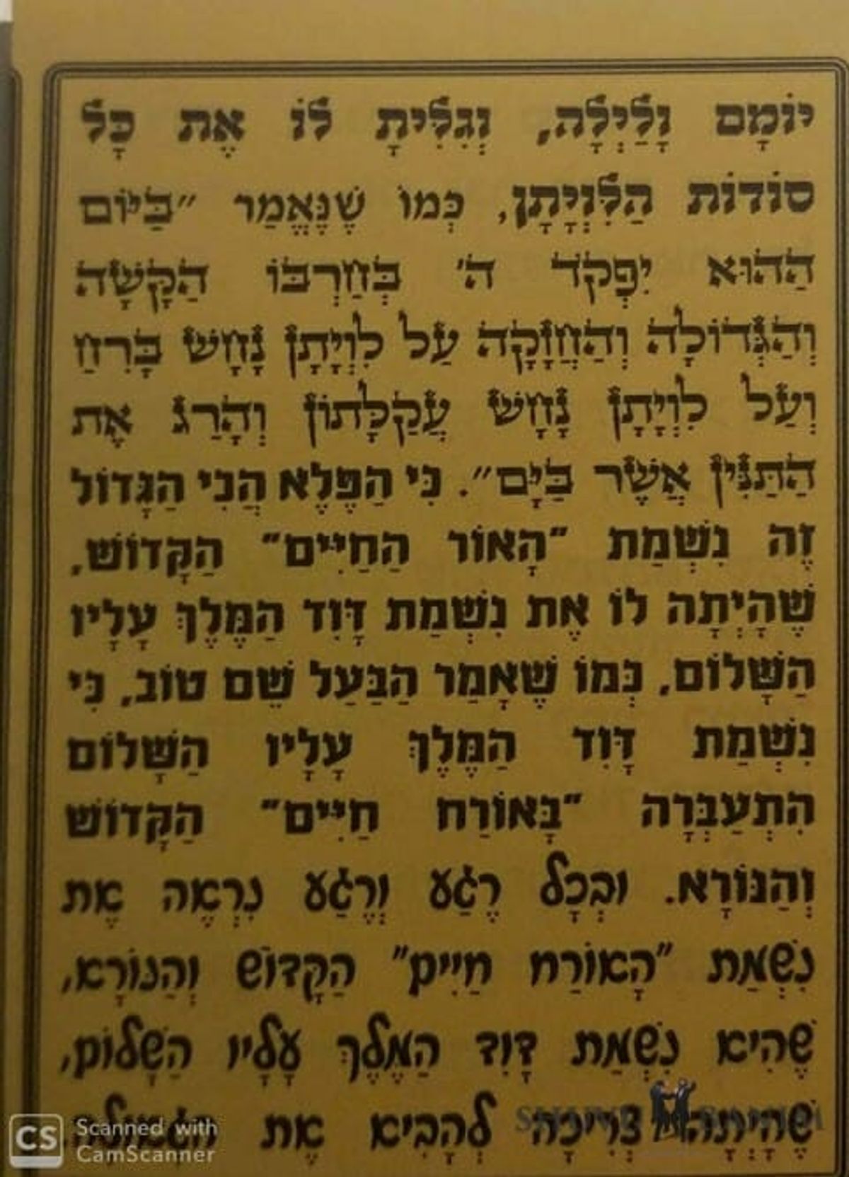 האדמו"ר מסלונים מזהיר: "מי שיש לו חלק בזה ודאי לא ינקה"