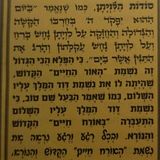 האדמו"ר מסלונים מזהיר: "מי שיש לו חלק בזה ודאי לא ינקה"