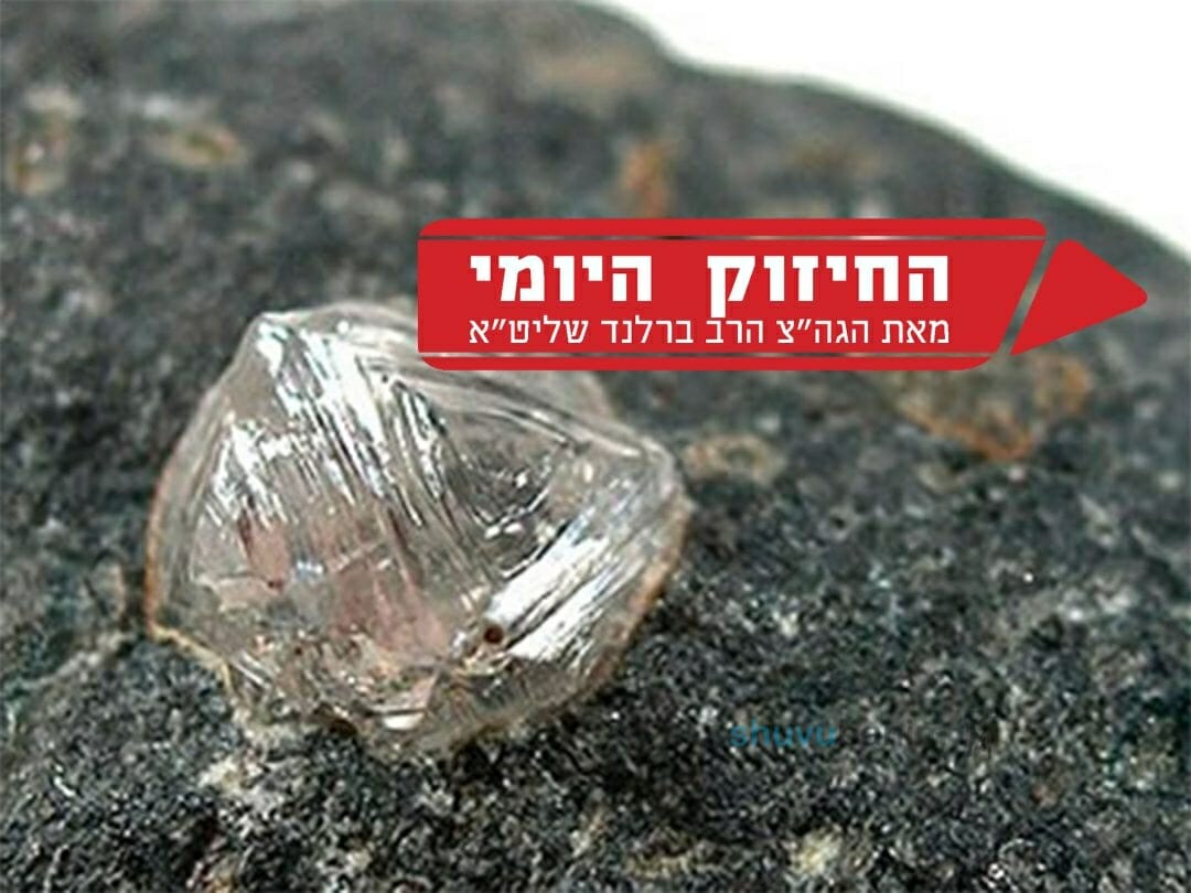 כשנופלים לרצפה מוצאים את היהלום - החיזוק היומי הגה"צ הרב אליעזר ברלנד שליט"א