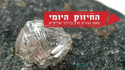 כשנופלים לרצפה מוצאים את היהלום - החיזוק היומי הגה"צ הרב אליעזר ברלנד שליט"א