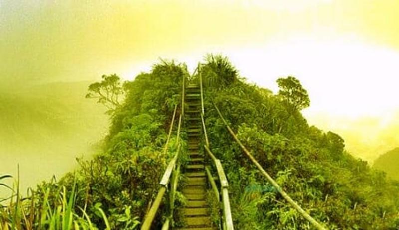 מספיק, לא חבל על כל הצער והאבדות בגוף ובנפש? שערי קודש קודשים לא נפתחו עד שנמחה