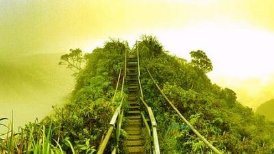 מספיק, לא חבל על כל הצער והאבדות בגוף ובנפש? שערי קודש קודשים לא נפתחו עד שנמחה ביזיונו של דוד