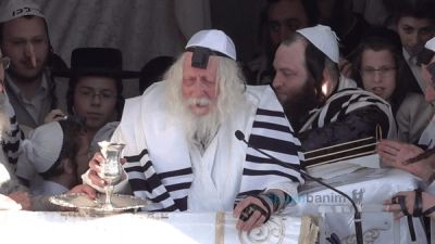 דּוֹרֵשׁ טוֹב לְעַמּוֹ • תיעוד נרחב מתפילת שחרית פורים דמוקפין המשולש