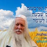 הספירה האחרונה  • היום תשעה וארבעים יום לעומר • נוסח ספירת העומר ותפילה מהגה"צ רבי אליעזר ברלנד שליט"א למלכות שבמלכות