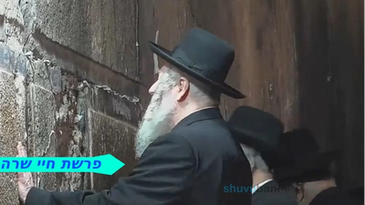 מדוע לומדים מעפרון קידושי אשה? ומה מעלת מערת המכפלה? פרשת חיי שרה מהגה"צ רבי אליעזר ברלנד שליט"א