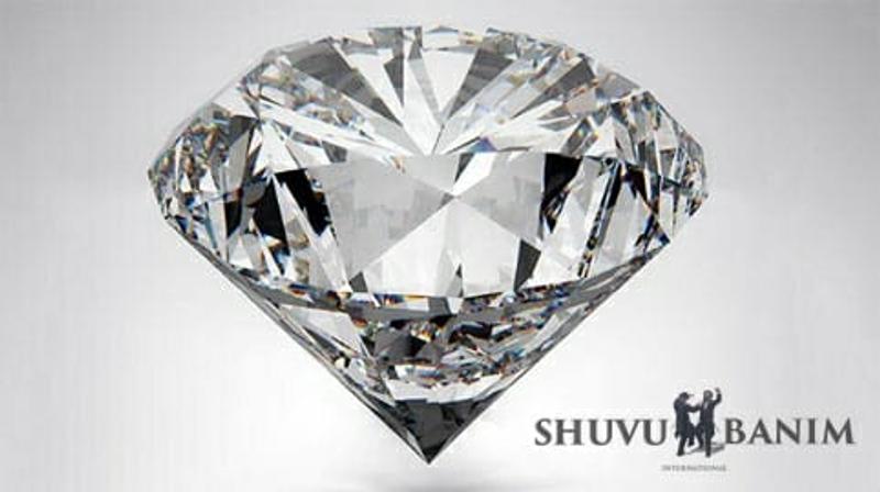 הדרך אל היהלום הפנימי | פרשת שמות מהגה"צ הרב אליעזר ברלנד שליט"א