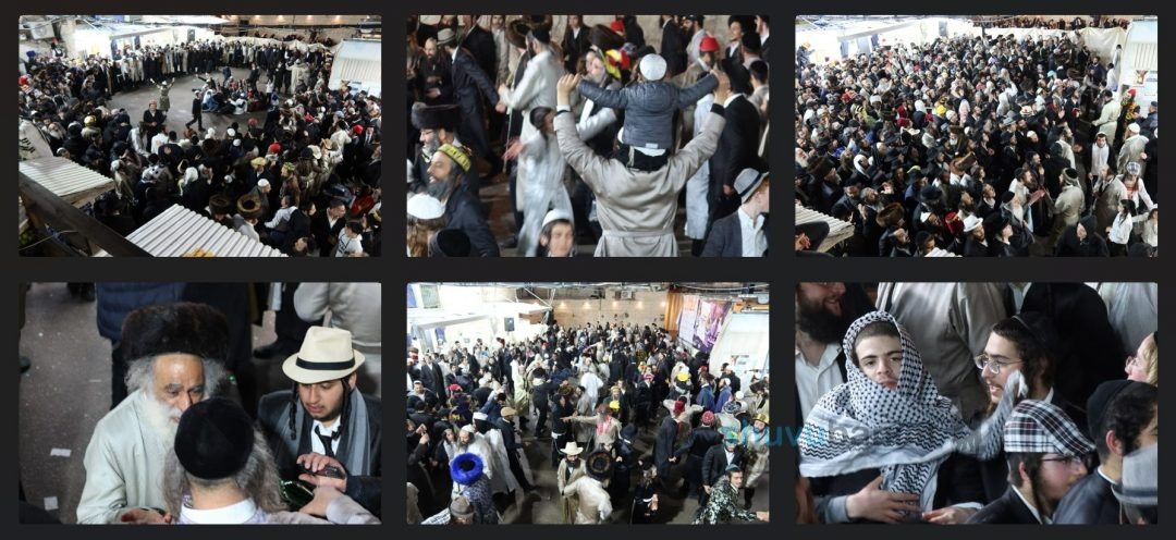 לְשׁוּבוּ בָּנִים הָיְתָה אוֹרָה וְשִׂמְחָה • גלריית תמונות מרהיבה משמחת פורים בחצר גינת ביתן המלך