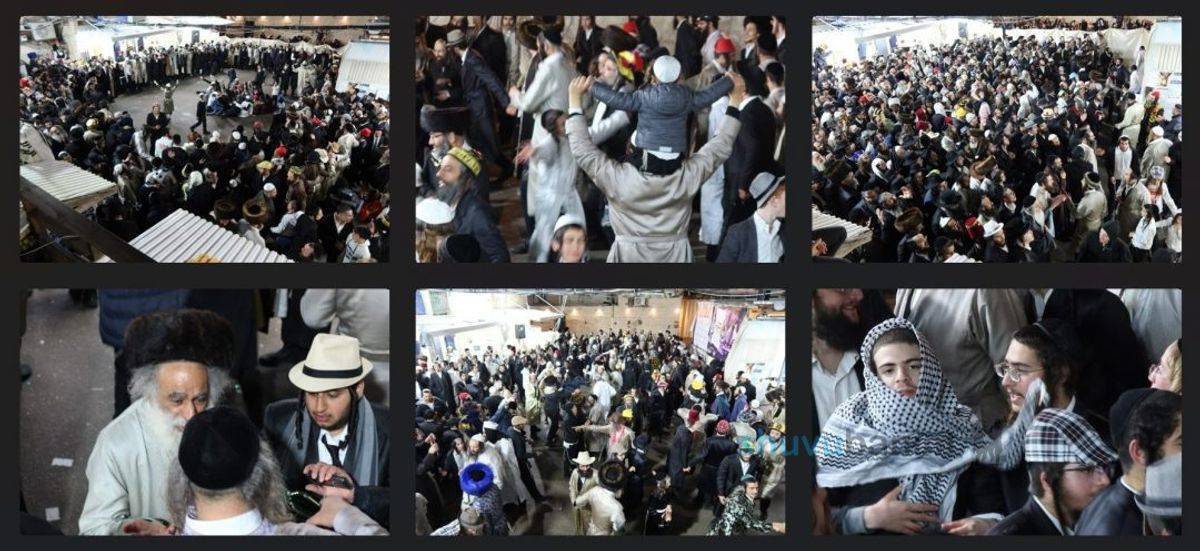 לְשׁוּבוּ בָּנִים הָיְתָה אוֹרָה וְשִׂמְחָה • גלריית תמונות מרהיבה משמחת פורים בחצר גינת ביתן המלך