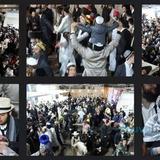 לְשׁוּבוּ בָּנִים הָיְתָה אוֹרָה וְשִׂמְחָה • גלריית תמונות מרהיבה משמחת פורים בחצר גינת ביתן המלך