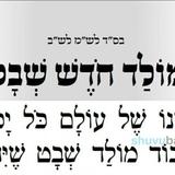 תפילה חדשה למולד חודש שבט - מוצש"ק וארא מהגה"צ רבי אליעזר ברלנד שליט"א