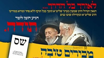 מוחים על כבוד הצדיק ומקדשים שם שמיים ע"י שמראים כמה תלמידים ונשמות סרות למרות הגה"צ הרב אליעזר ברלנד שליט"א