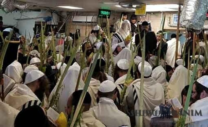 "אם שומעים בקול הצדיק יש לבן אדם פרנסה למיליארד שנה"