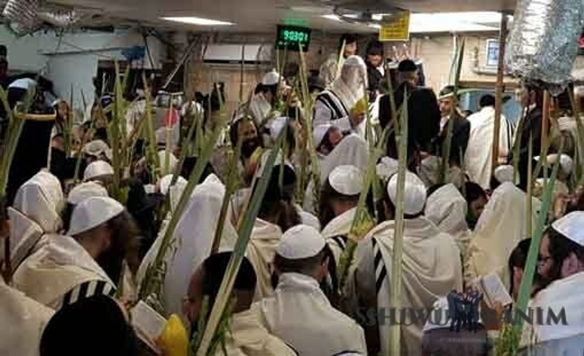 "אם שומעים בקול הצדיק יש לבן אדם פרנסה למיליארד שנה" - חג סוכות מהגה"צ הרב אליעזר ברלנד שליט"א