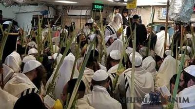 "אם שומעים בקול הצדיק יש לבן אדם פרנסה למיליארד שנה" - חג סוכות מהגה"צ הרב אליעזר ברלנד שליט"א