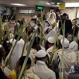 "אם שומעים בקול הצדיק יש לבן אדם פרנסה למיליארד שנה" - חג סוכות מהגה"צ הרב אליעזר ברלנד שליט"א