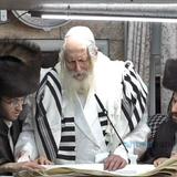 תפילות למצוות היום בפורים מהגה"צ רבי אליעזר ברלנד שליט"א