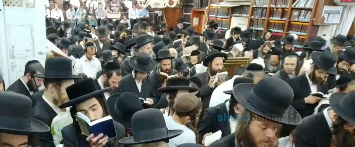 במוצאי מנוחה קדמנוך תחילה • קיבוץ א' דסליחות בקהילת קודש שובו בנים