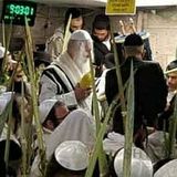 מעמד 'הקבלת פני רבו' והילולה לרבינו נחמן בחולון בהשתתפות הגה"צ הרב ברלנד, הרב עופר ארז ועוד רבנים שליט"א