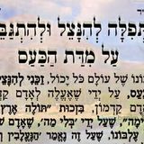 תפילה של הגה"צ הרב אליעזר ברלנד שליט"א להינצל ולהתגבר על מדת הכעס