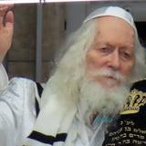 עַל מוֹקֵד מִזְבֵּחַ יֵצֵא בְּמָחוֹל • שמחת תורה אצל הגה"צ רבי אליעזר ברלנד שליט"א בצל מלחמת חרבות ברזל