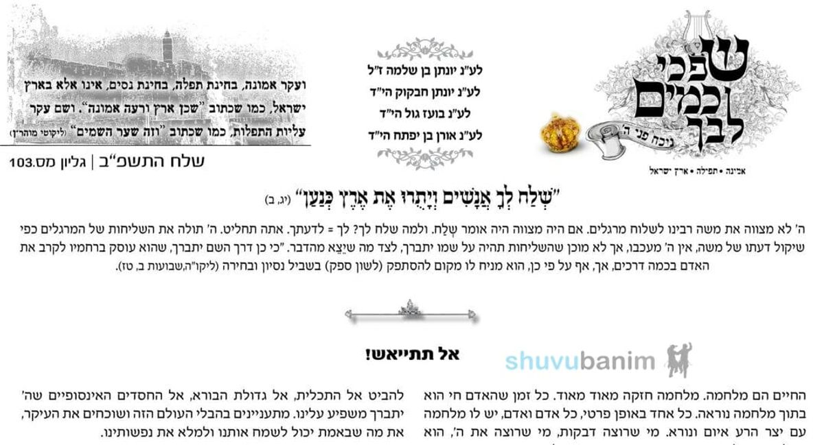 עלון שפכי כמים לבך - פרשת שלח לך