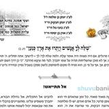 עלון שפכי כמים לבך - פרשת שלח לך