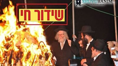 שידור חי מכל אירועי ל"ג בעומר בירושלים ומירון - ק"ק שובו בנים עם הגה"צ הרב אליעזר ברלנד שליט"א