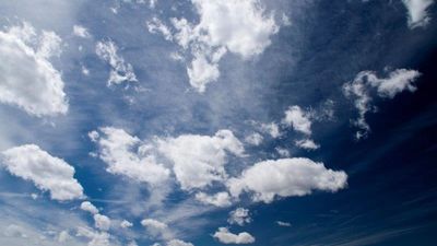 Everyone Will Have Dominion Over the Angels