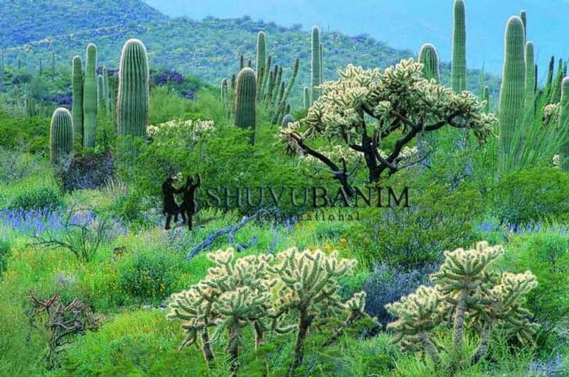 תפילה מאת הגה"צ הרב אליעזר ברלנד שליט"א - כבוד האישה ולכבדה במילים טובות